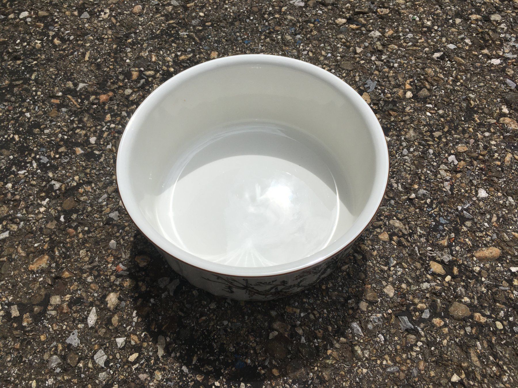 Villeroy & Boch Teglie da forno: Villeroy & Boch Botanica Backform Migrowellen sicher – Usato da Marbach LU venduto da Hoheduene 1