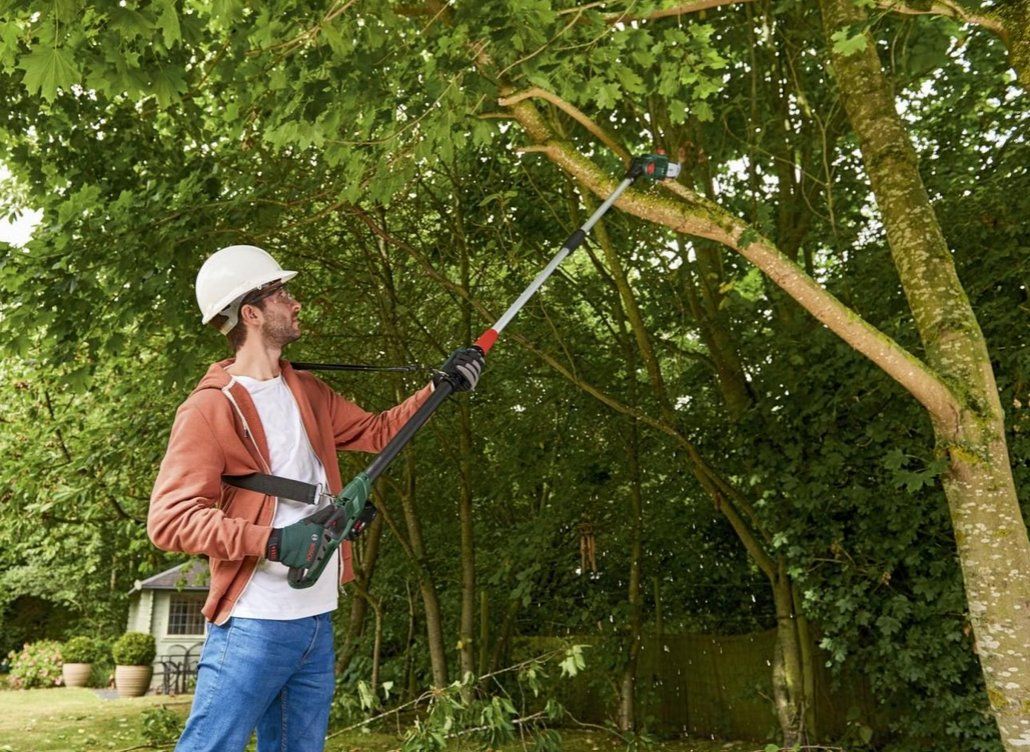 Bosch Tutti gli attrezzi: Bosch Akku Ast oder Baumschneider Fabrikneu – Nuovo e nell'imballaggio originale da Buttisholz venduto da rappirosen 3