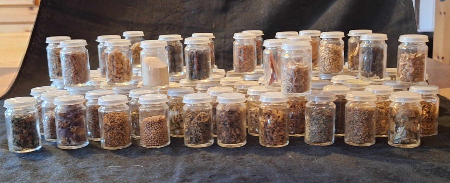 Piante & sementi: Grosses Herbarium für Studium – Usato da Opfikon venduto da Carslo5 1