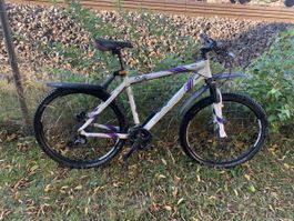 BERGAMONT montaibike 26X2.10
