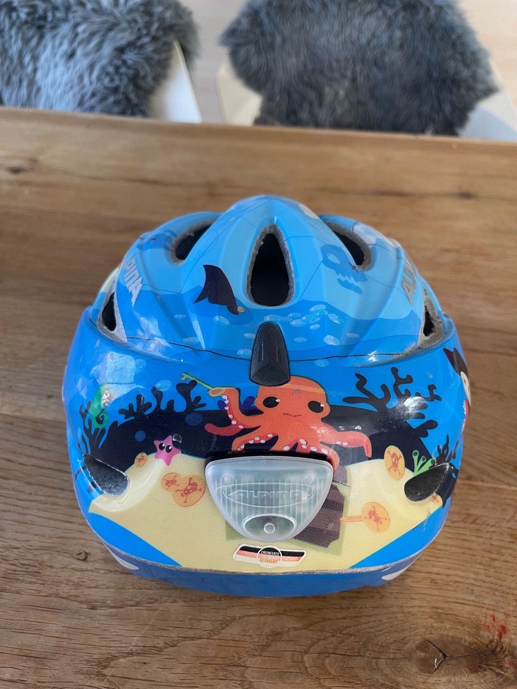 Caschi: Helm 52-56cm – Usato da Zetzwil venduto da gent1974 1