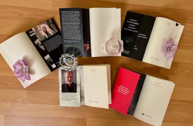 Bücher: Lucy Foley, T. R. Richmond, Michael Robotham, Steve Cavanagh – Neu (gemäss Beschreibung) aus Bern von Denzel8 8