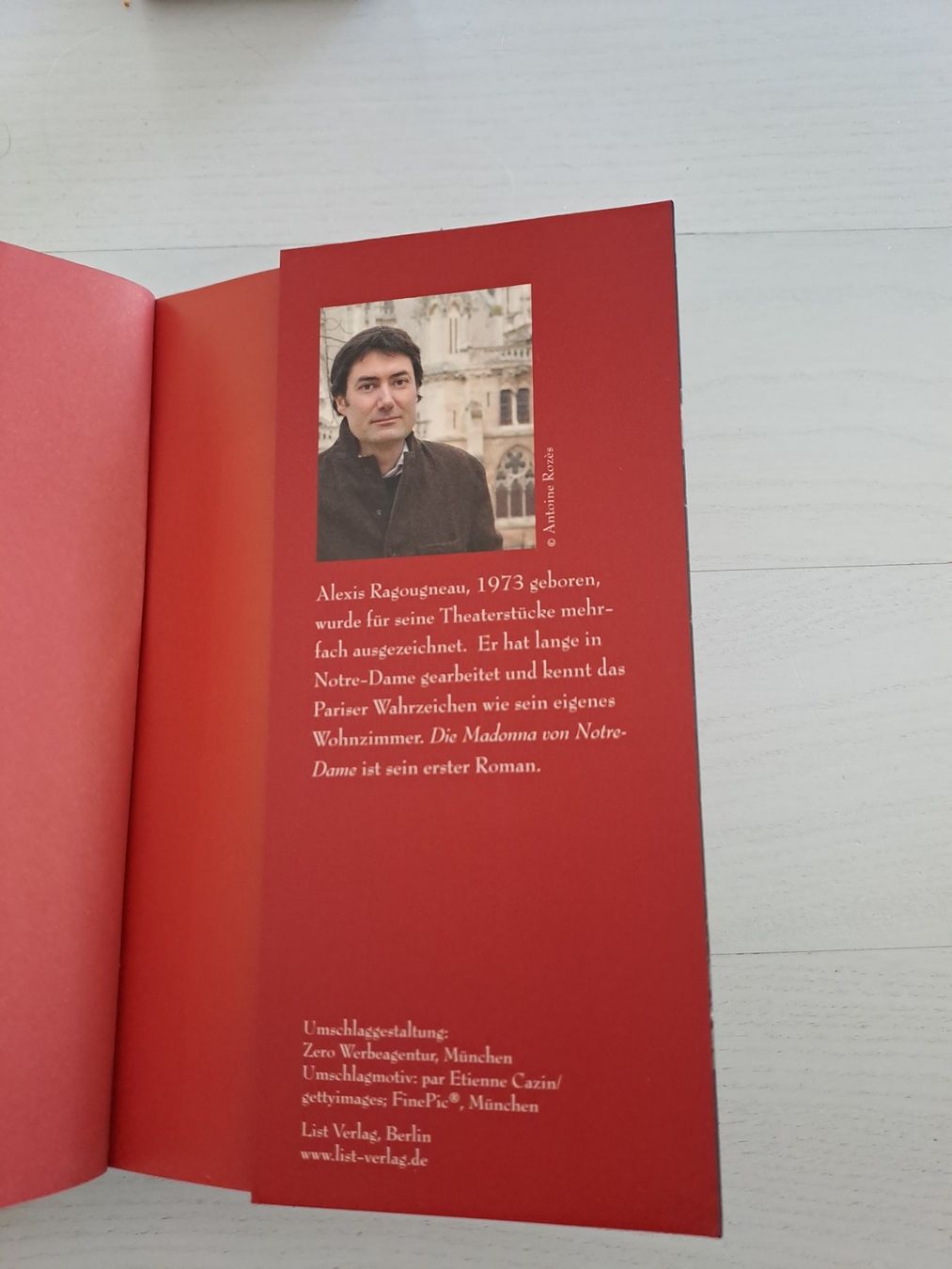 Bücher: Die Madonna von Notre-Dame – Gebraucht aus Grenchen von panebianco 1