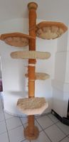 Katzenbaum deckenhoch beige Holz gebraucht guter Zustand