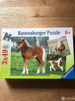 Kinder Puzzle 5+