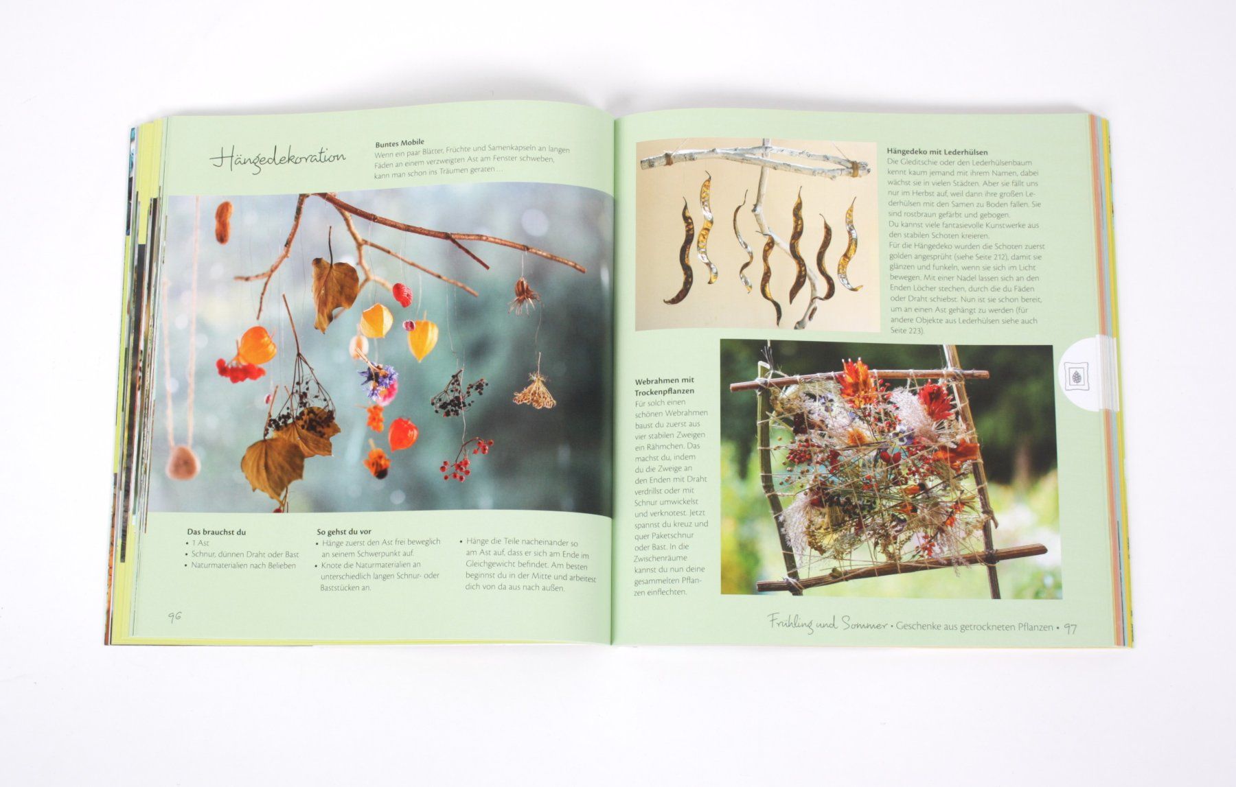 Libri: HAUPT: Naturgeschenke – Usato da Zollikofen venduto da Restwert_Zollikofen 2