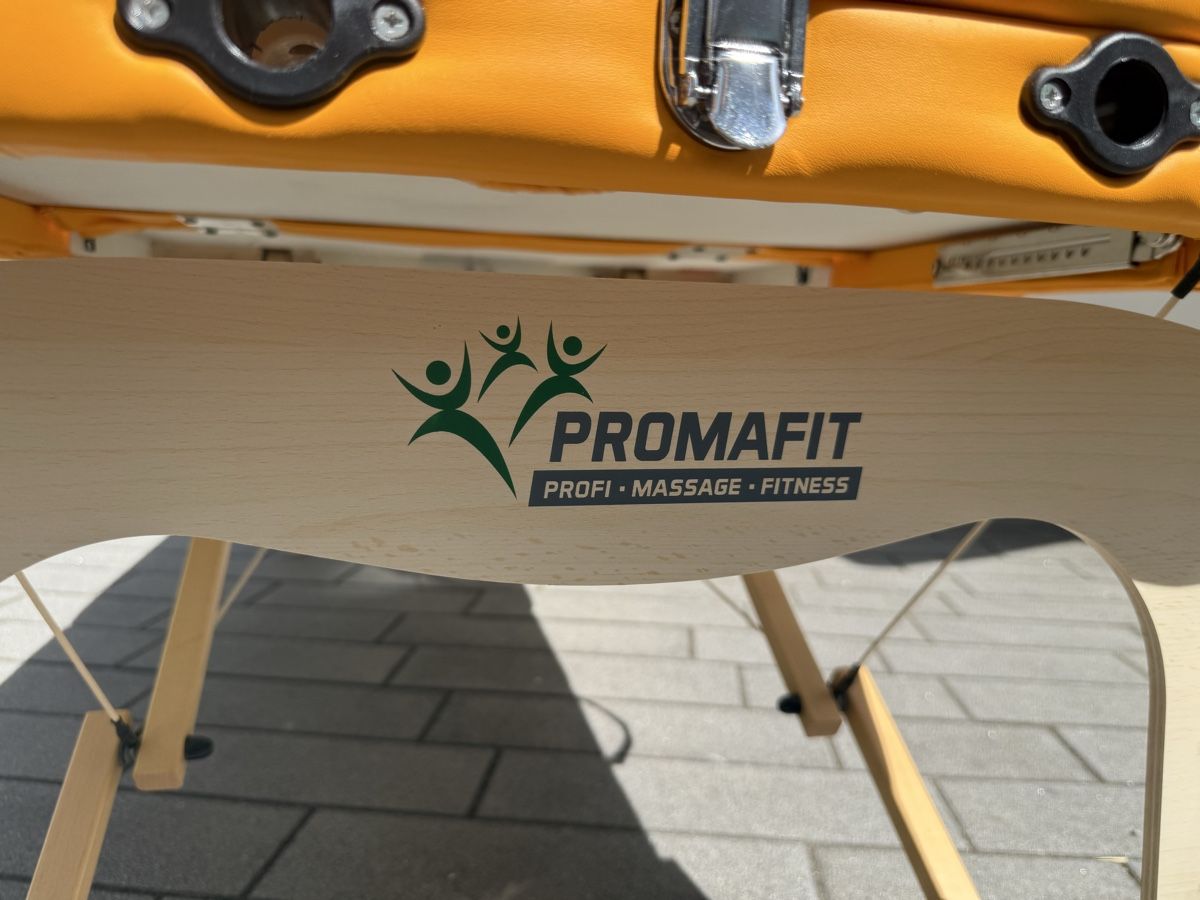Sedie a sdraio: Mobile Behandlungsliege / Massageliege mit Transporttasche – Usato da Brunnen venduto da RoliKr8 7