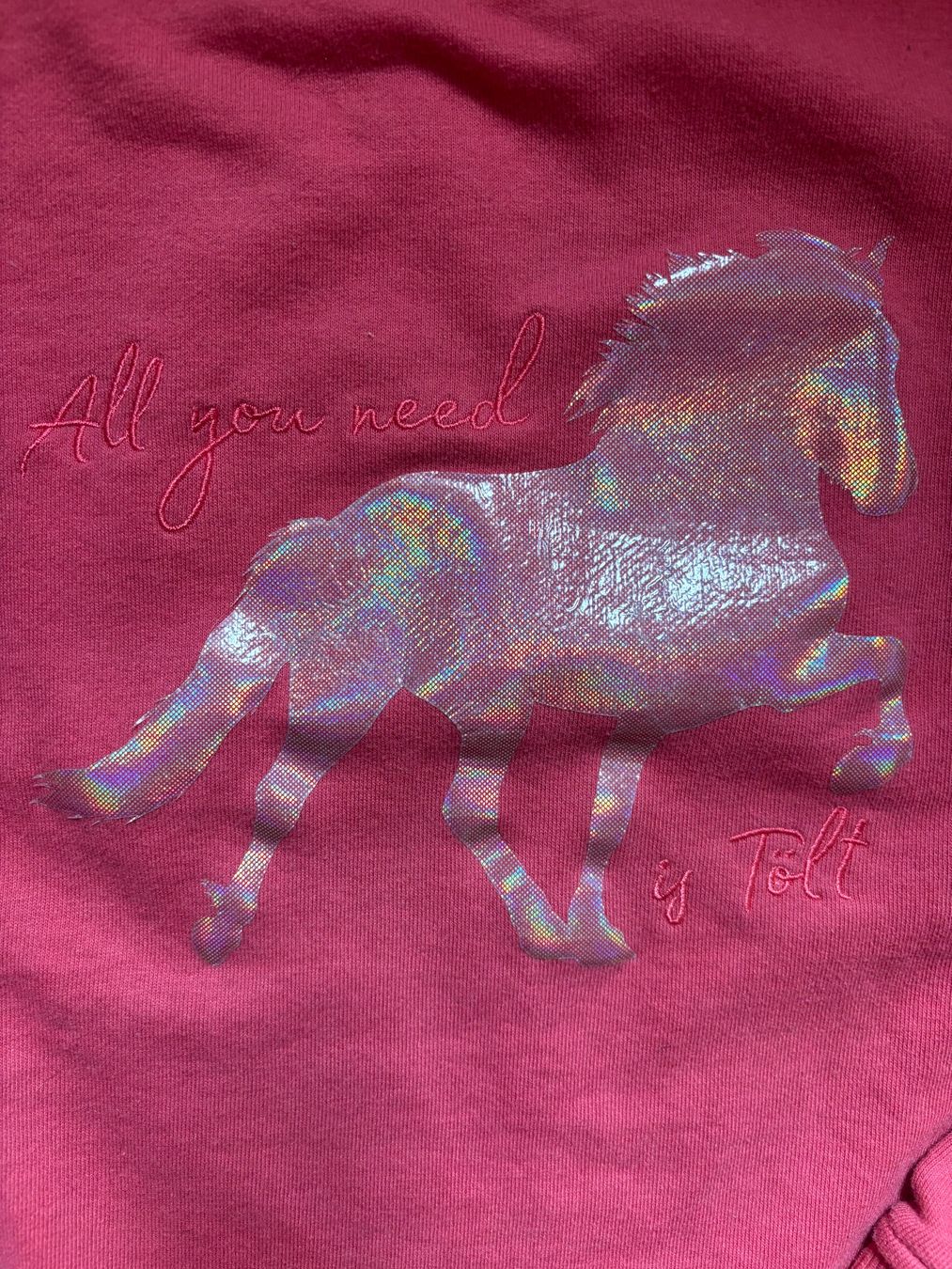 Maglioni & Felpe: Pinker Mädchen Pullover mit Islandpferd 146/152 – Usato da Allmendingen b. BE venduto da gio_kv6r 1