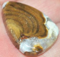 Cabochon L-1405 – Kobra Jaspis – 27x20mm