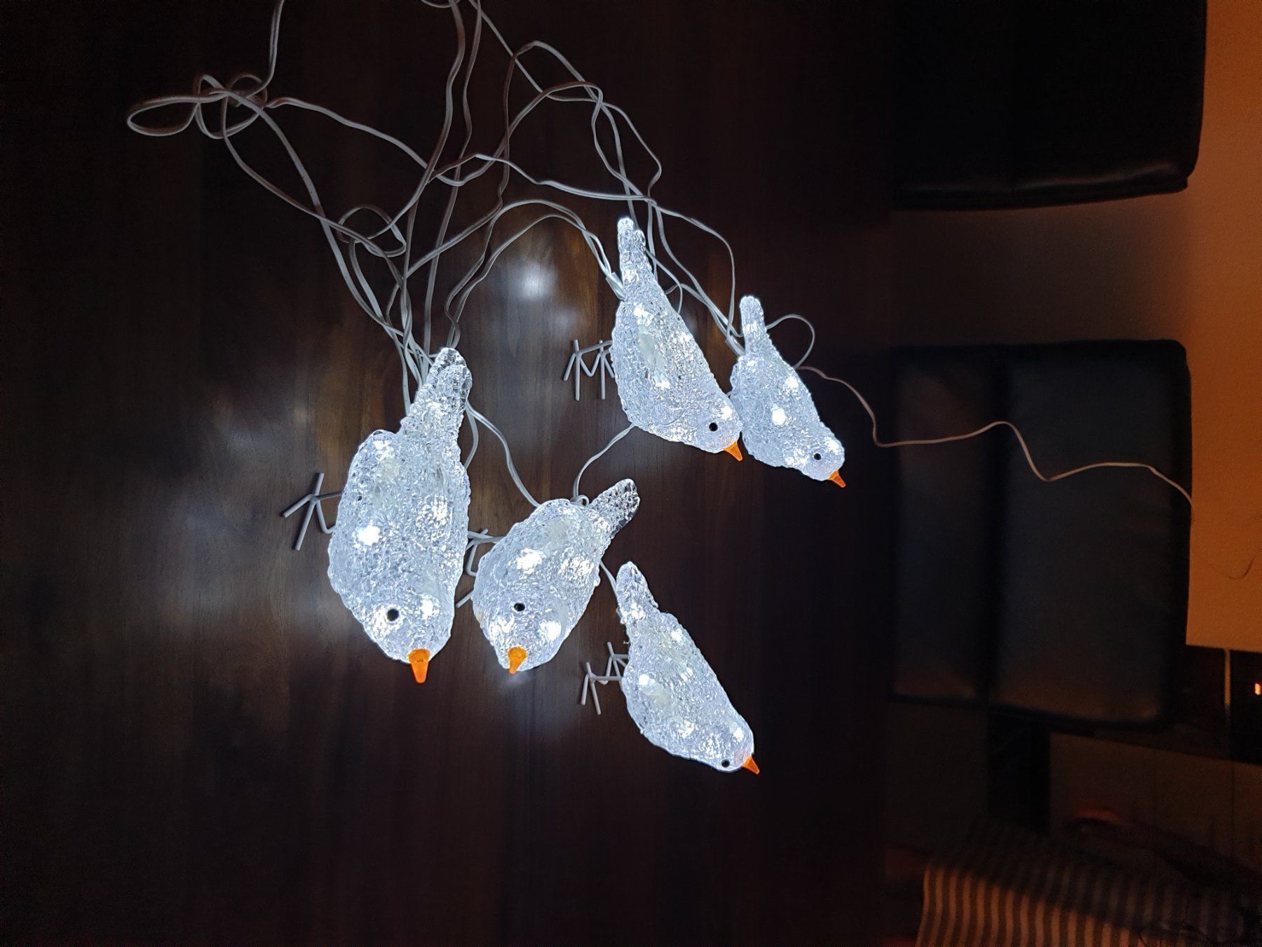 Ghirlande e barre luminose: Leuchtenden Vogel 🐦 – Usato da Rothrist venduto da ToniG71 1