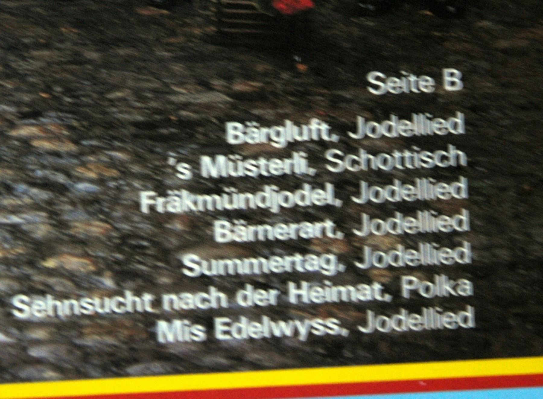 Dischi in vinile: ECHO VOM BLAUSEE BÄRGFRÜNDE THUN "SUMMERTAG" LP GEWASCHEN – Usato da Unterseen venduto da vinylmore 4