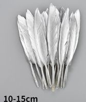 Deko Federn 082 – 10 bis 15 cm – 10 Stück