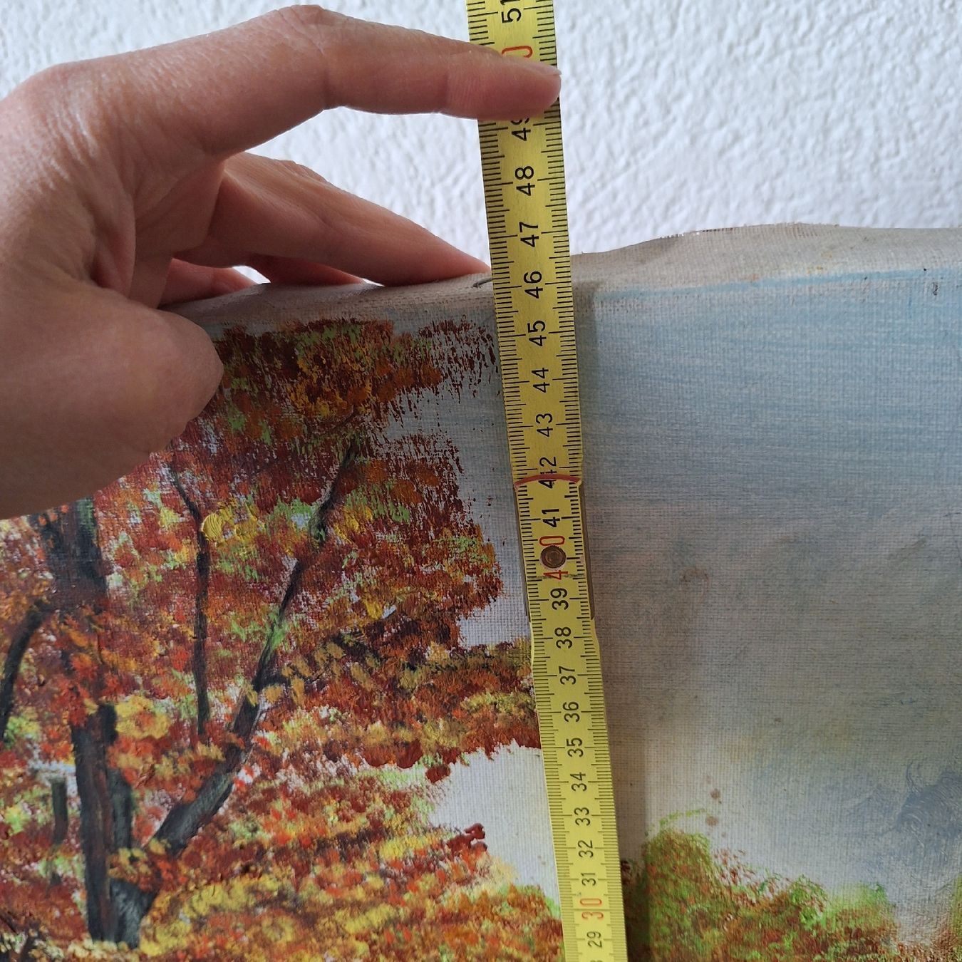 Foto & Immagini: Schönes Bild ohne Rahmen, Herbst, Wald – Usato da Winterthur venduto da Goldpipau 6