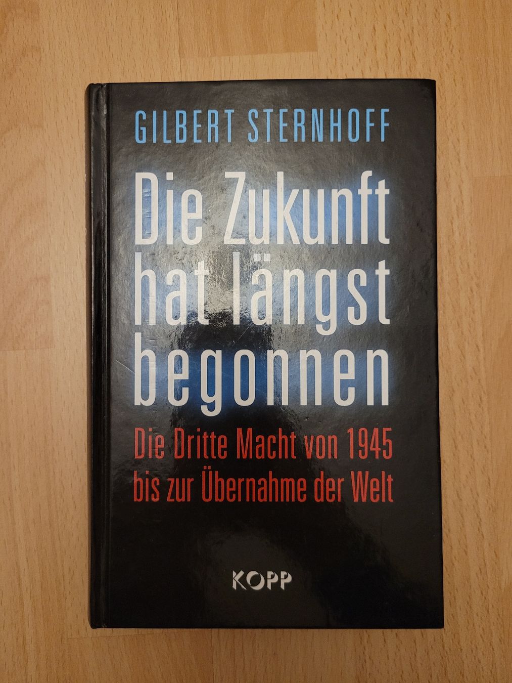 Libri: Die Zukunft hat längst begonnen – Usato da Perlen venduto da Safari_23