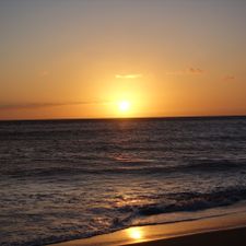 Profile image of Aloha.Spirit
