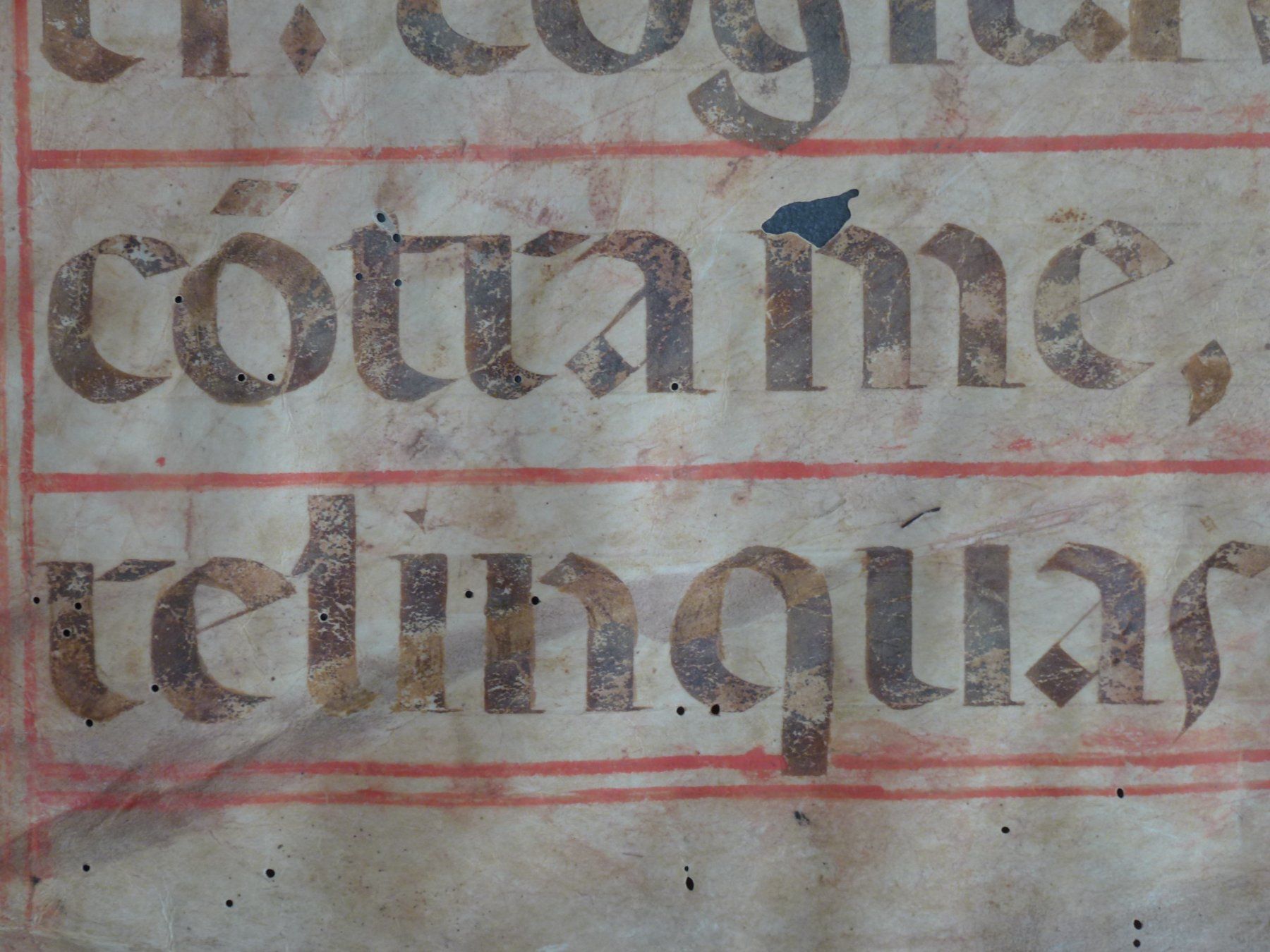Dipinti: Gotik Manuskript Pergament / Psalm:140 – Usato da Esslingen venduto da eintagammeer 4