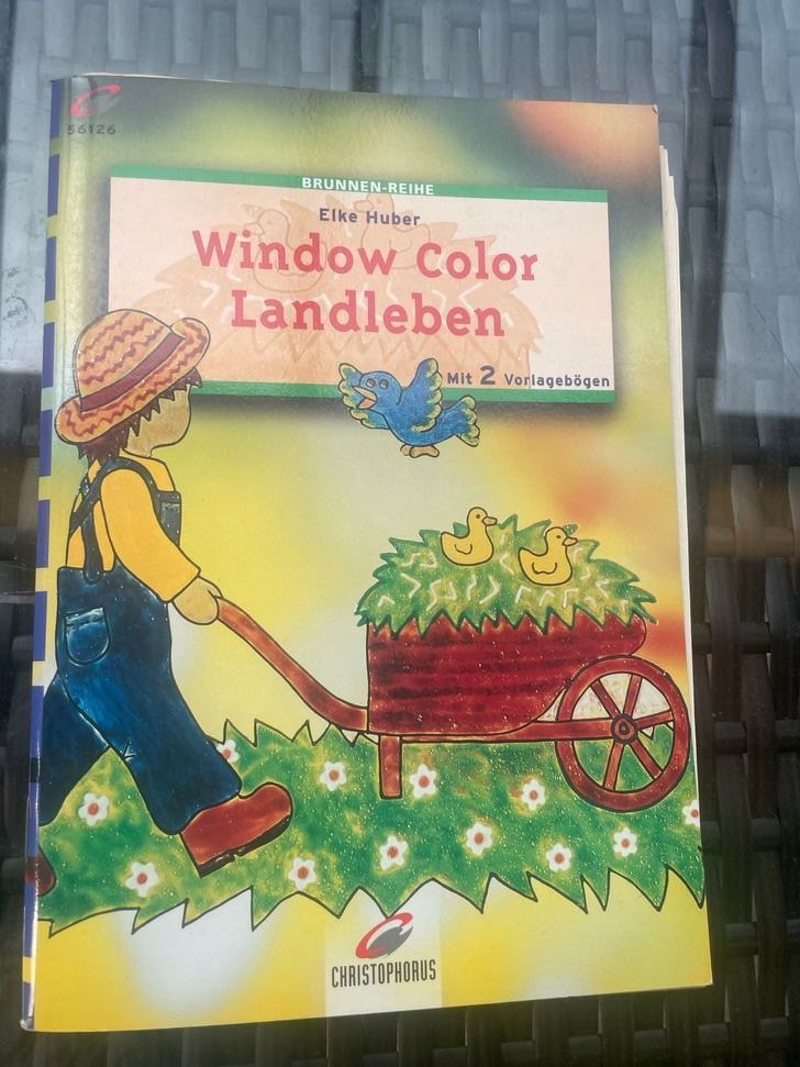 Libri: Window Color Landleben Elke Huber – Usato da Bergdietikon venduto da book-4-you
