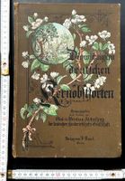 antik Kernobstsbuch mit wunderbaren Tafeln Äpfel, Birnen