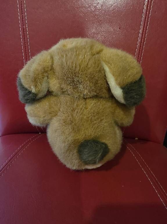 Figurines: Undead Ted, zombiebär – D'occasion à Menziken par Nazli27 1