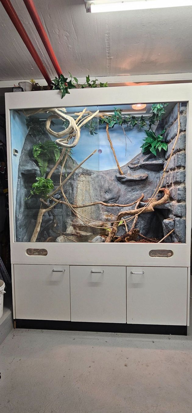Terrario: TERRARIUM MIT UNTERBAU – Usato da Filzbach venduto da Menzi5 2