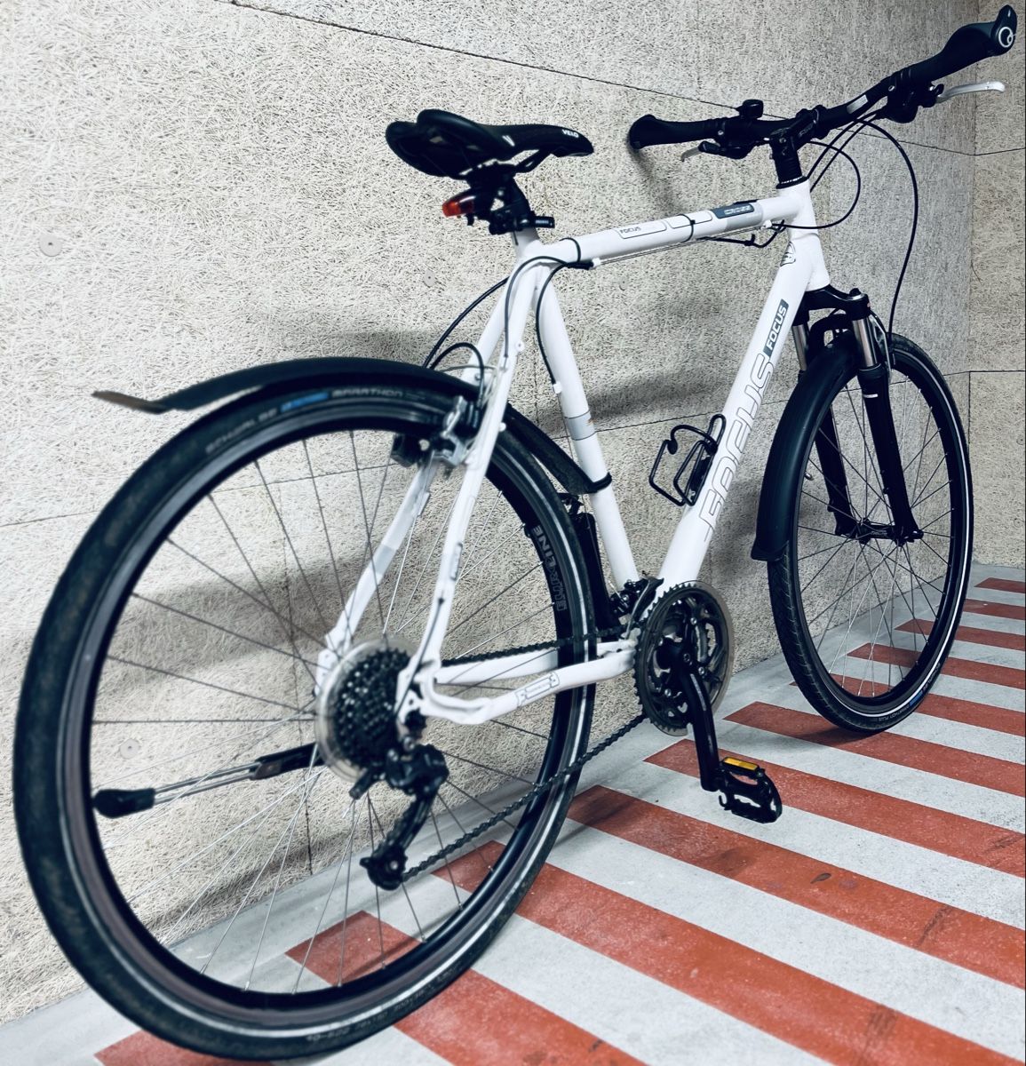 Focus Biciclette: Focus Velo XL – Usato da Zürich venduto da Bidon3011 2