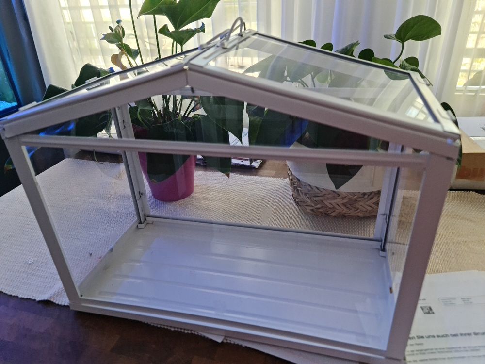Gewachshaus Glas Klein Ikea