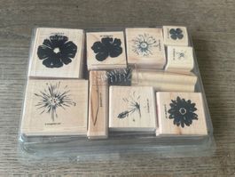 Blumenstempel Stempel Basteln VERSAND 4.-