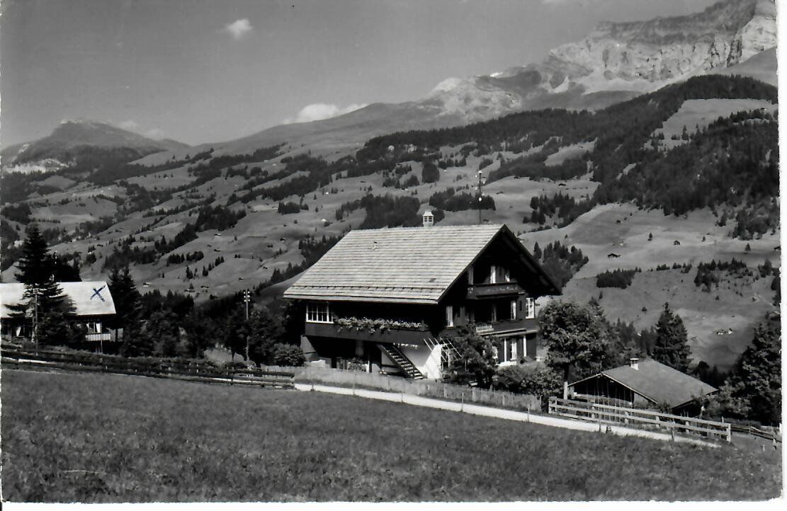 Cartoline postali: Helenenheim Adelboden – Usato da Hochdorf venduto da Ziegel-16