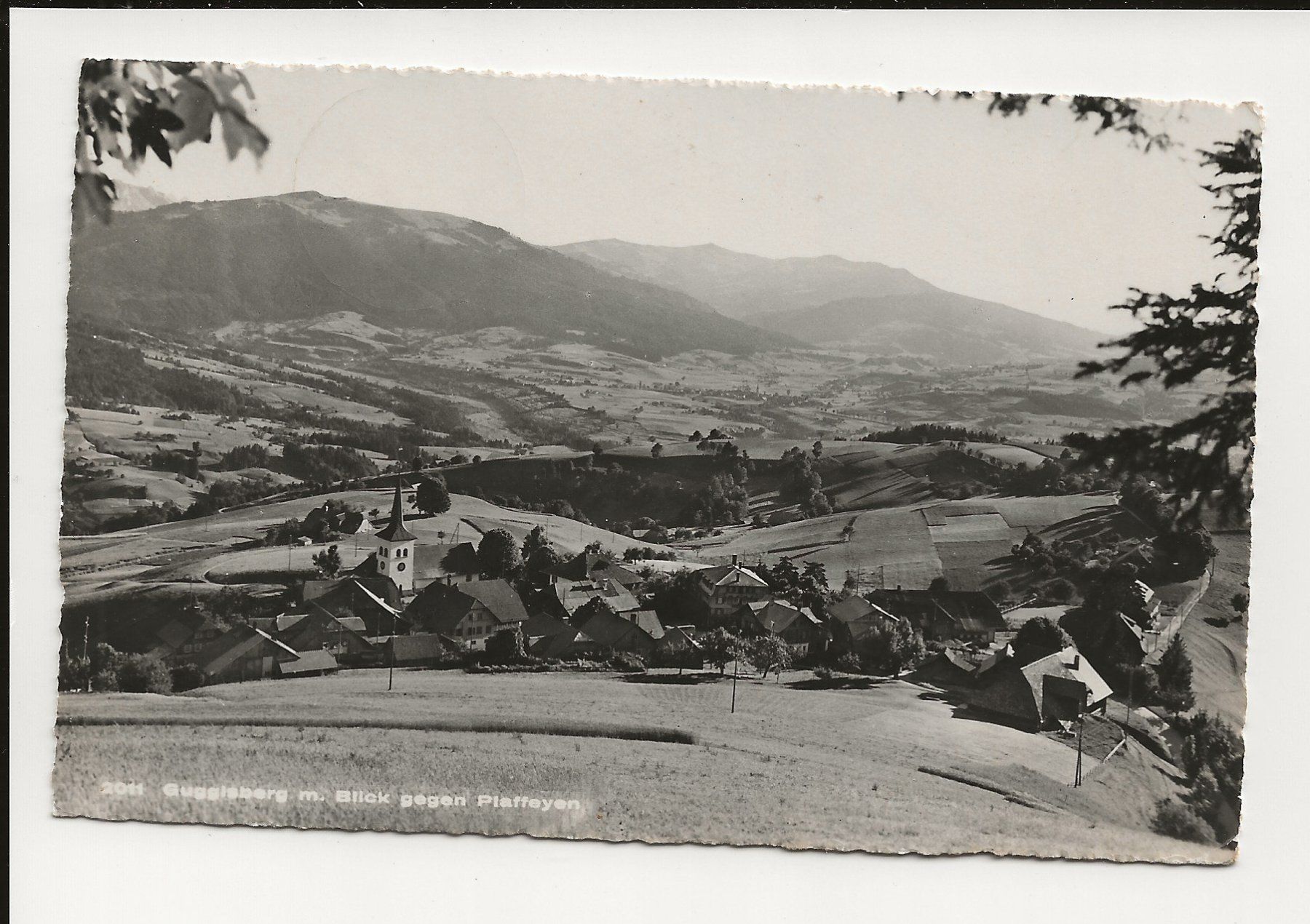 Cartoline postali: AK 1955 Guggisberg mit Blick gegen Plaffeyen – Usato da Greifensee venduto da 315WDO