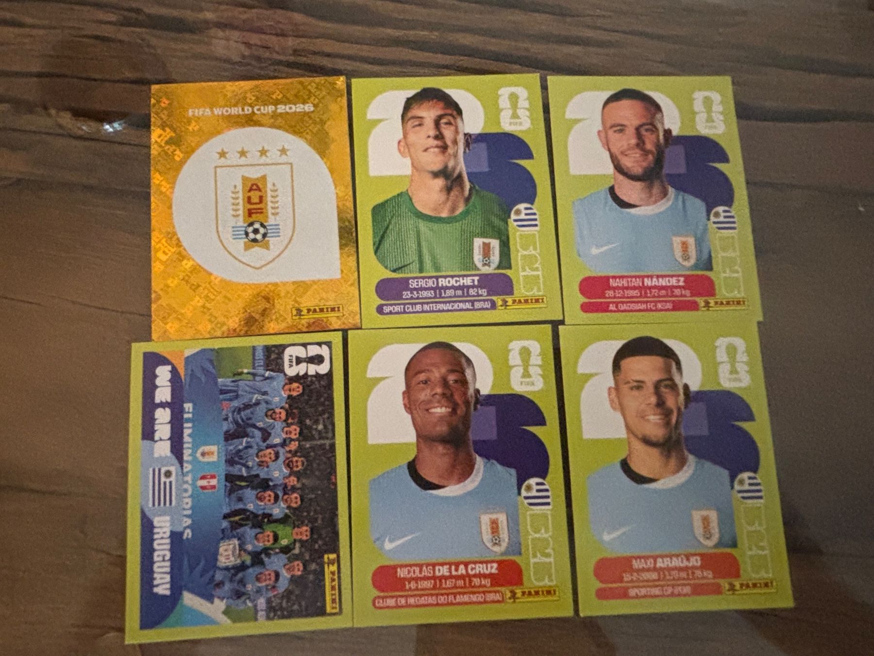 Panini Carte collezionabili: Panini Sticker URU 6er Set – Nuovo (secondo la descrizione) da Spiez venduto da inf_l9c6