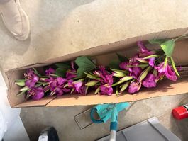 Künstliche Blumen Silk-ka pink NEU