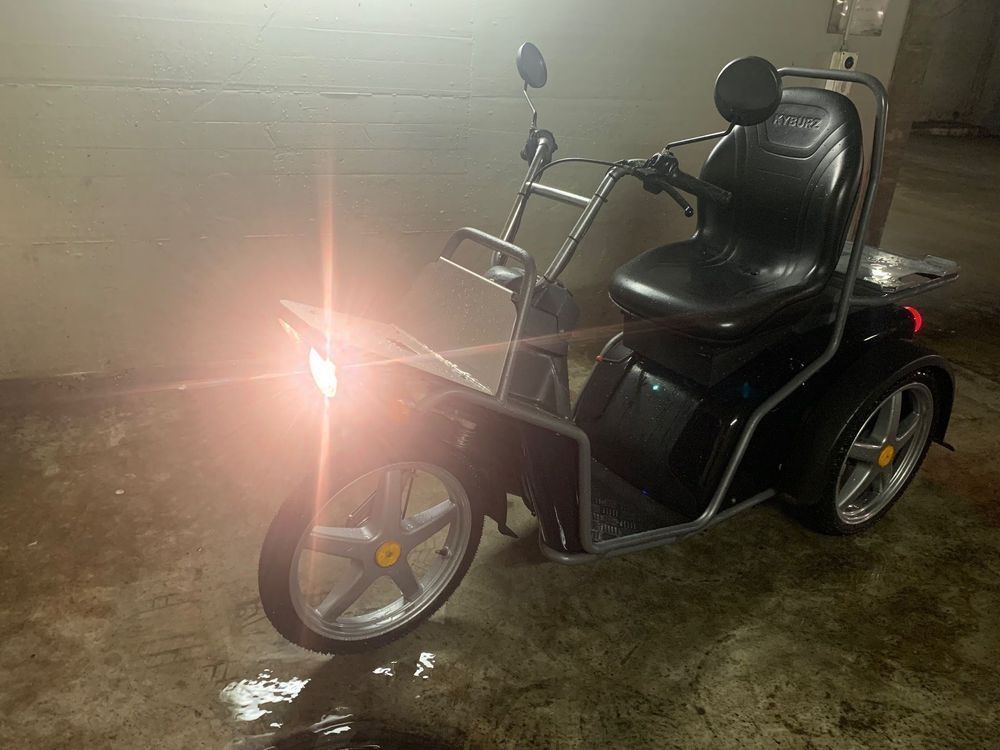 KYBURZ DXP 100AH ZUM VERKAUFEN Kaufen auf Ricardo