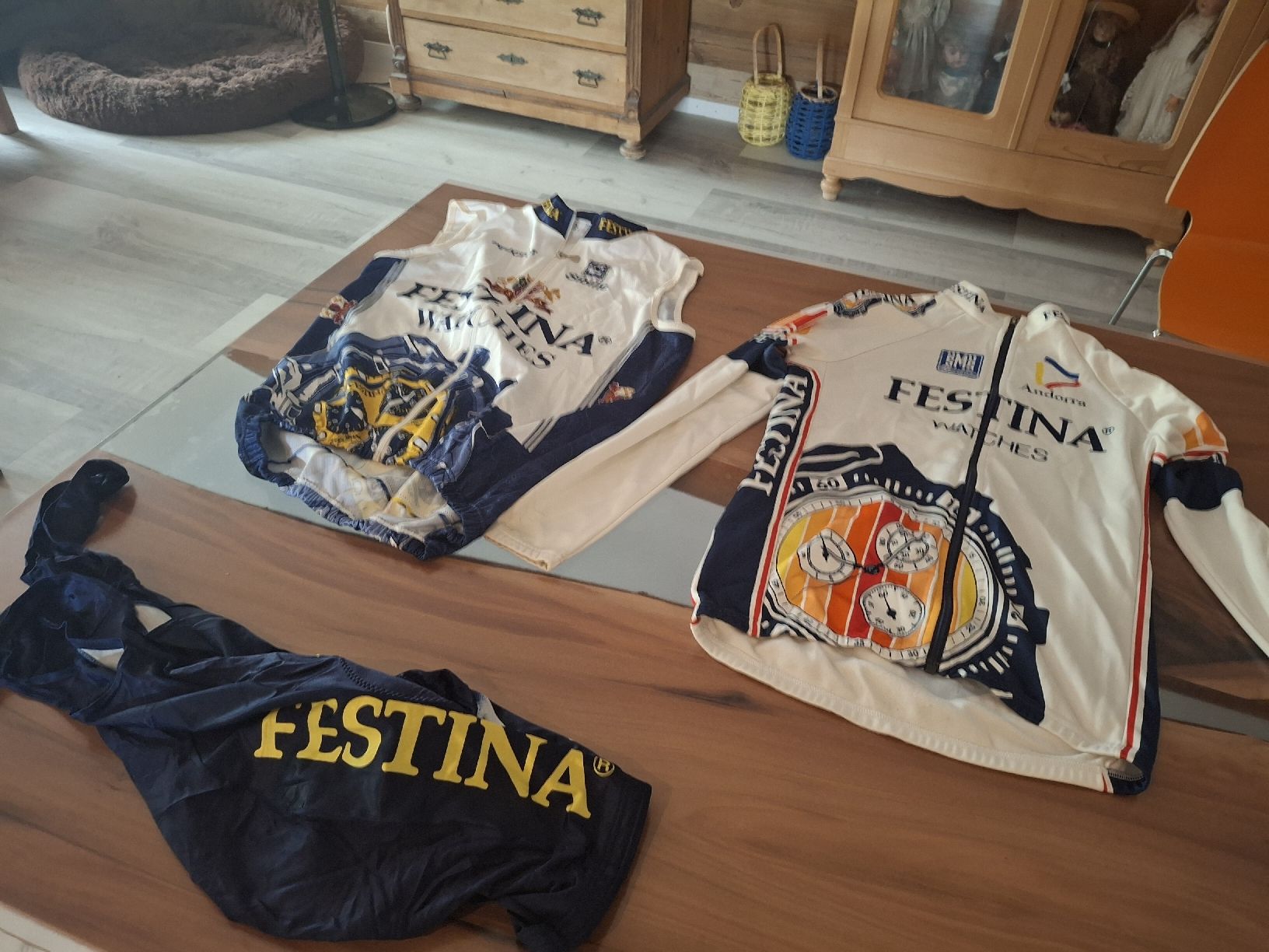 Leibchen & Hosen: Velotrikot – Gebraucht aus Bennwil von Mdino99