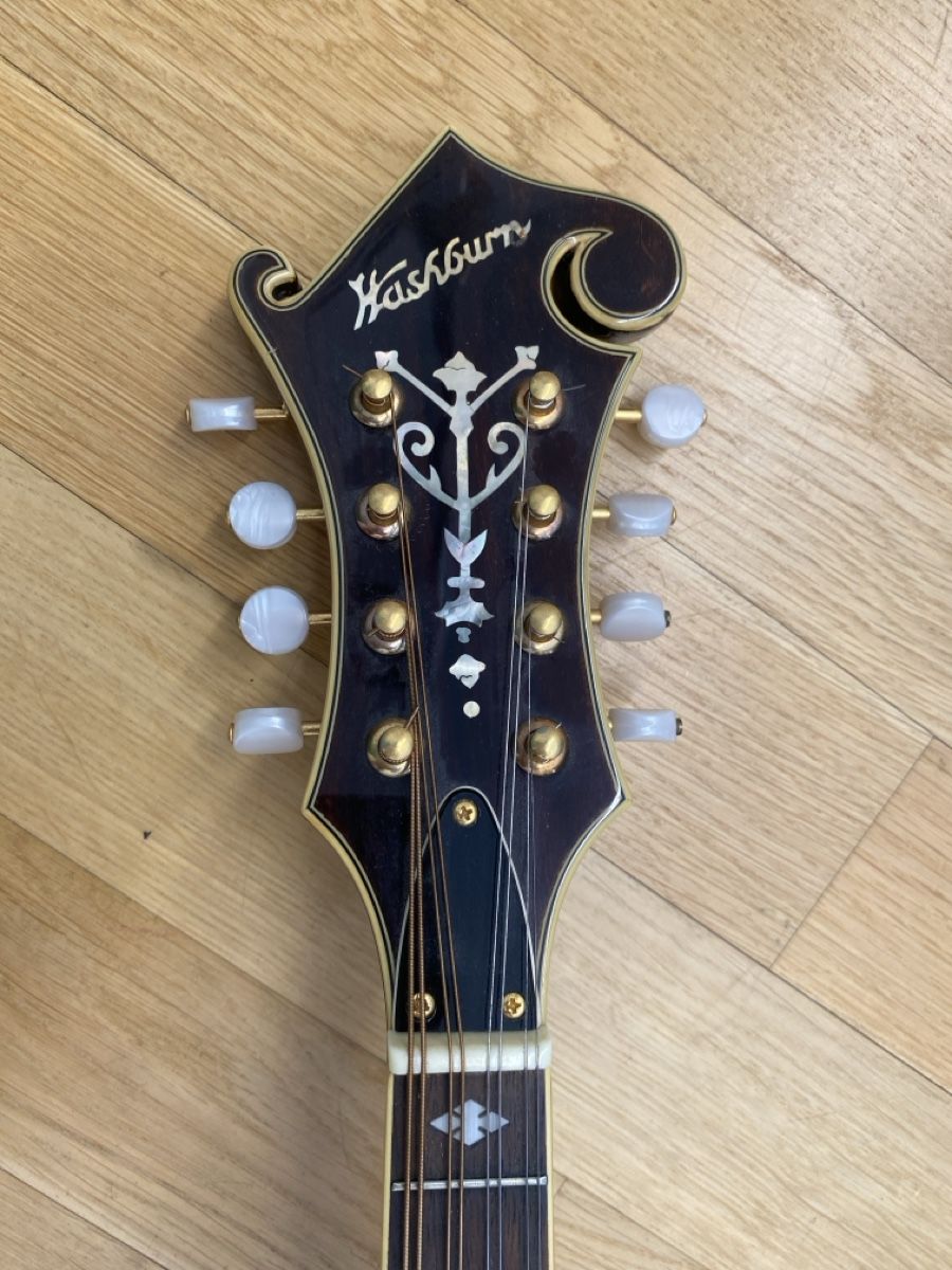 Washburn Strumenti musicali: Washburn Mandoline mit Koffer, – Usato da Biel/Bienne venduto da Projektorium 1