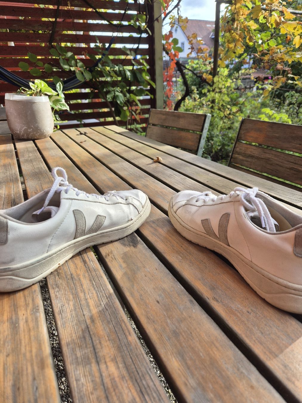 Veja Scarpe da donna: Veja Sneaker Vegan Gr. 42 – Usato da Winterthur venduto da nel_6svj 4
