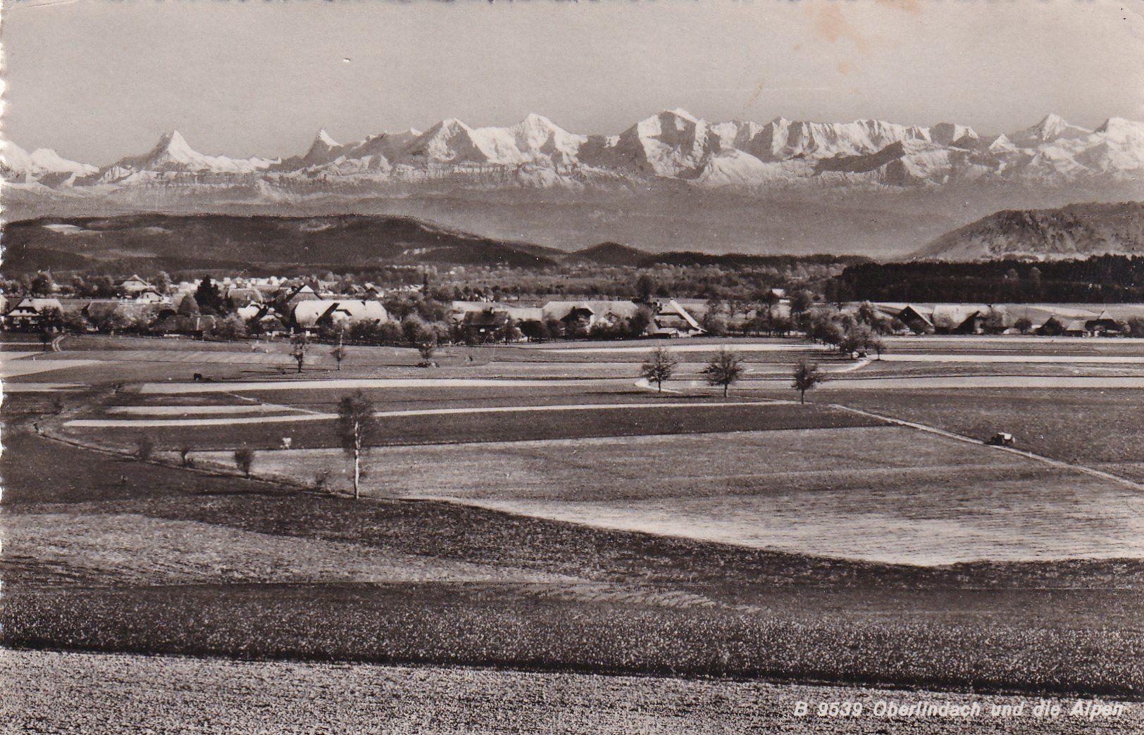 Cartoline postali: Oberlindach und die alpen 1955 – Usato da Cormoret venduto da Pascalll2001
