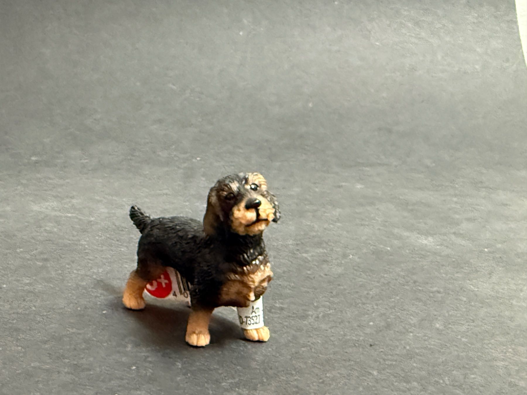 Schleich Statuette: Schleich Rauhaardackel Hund – Nuovo (secondo la descrizione) da Ennetbaden venduto da mapa05 3