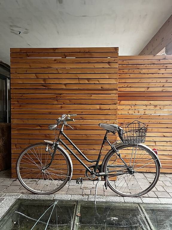 Velos: Klassisches Liebhaberfahrrad – Gebraucht aus Ormalingen von L.Pauschenwein