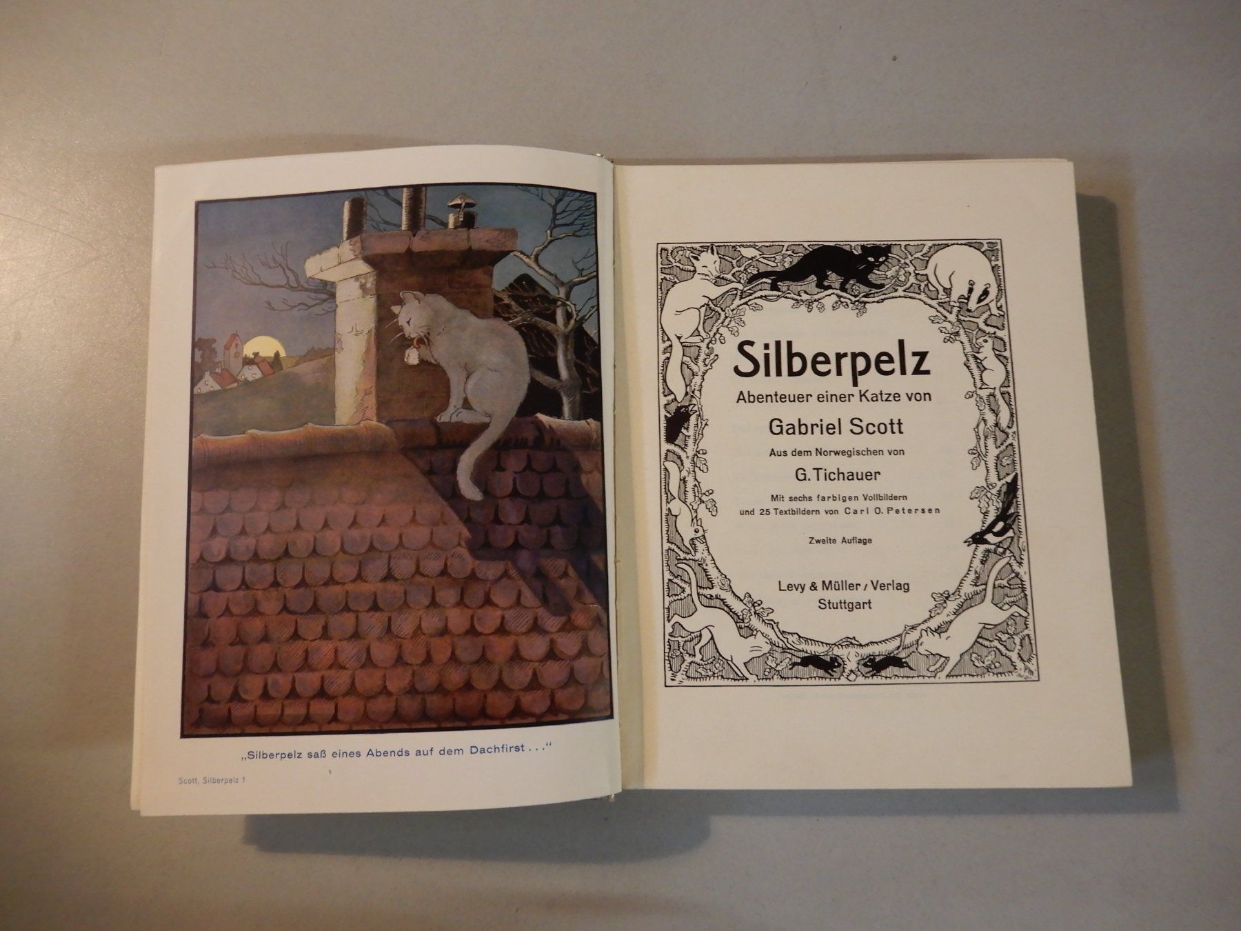 Libri: Silberpelz Abenteuer einer Katze, Gabriel Scott, 2. Auflage – Usato da Erstfeld venduto da Mario_boe0 2