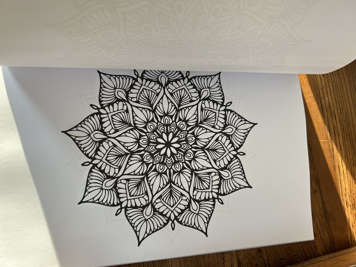 Libri: Colouring Book/Malbuch: 111 Mandala – Nuovo (secondo la descrizione) da Schenkon venduto da NCB77 4