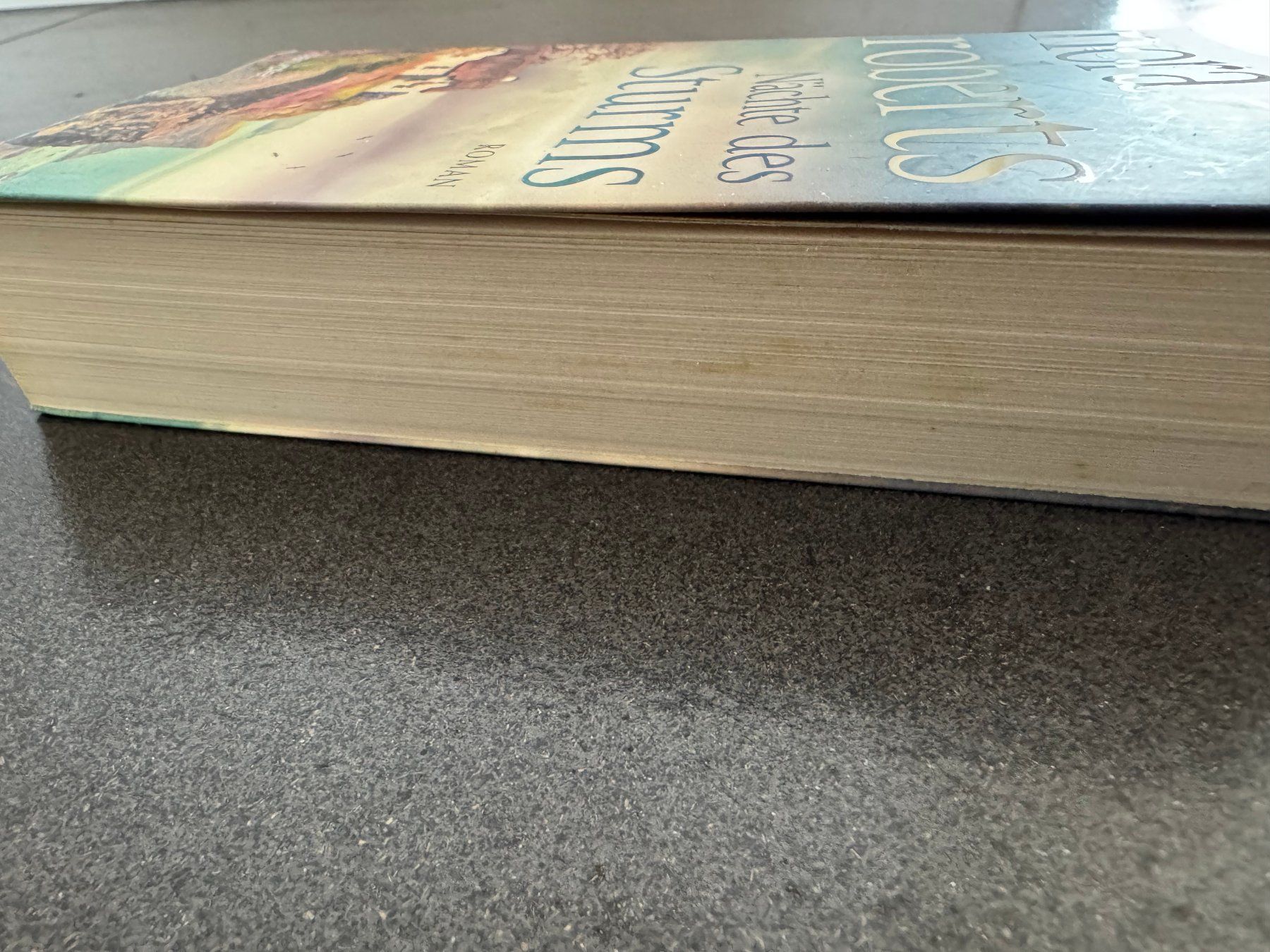 Libri: Nora Roberts "Nächte des Sturms" Roman – Usato da Fribourg venduto da tschjoly 5