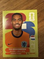 Panini Fifa NED 11