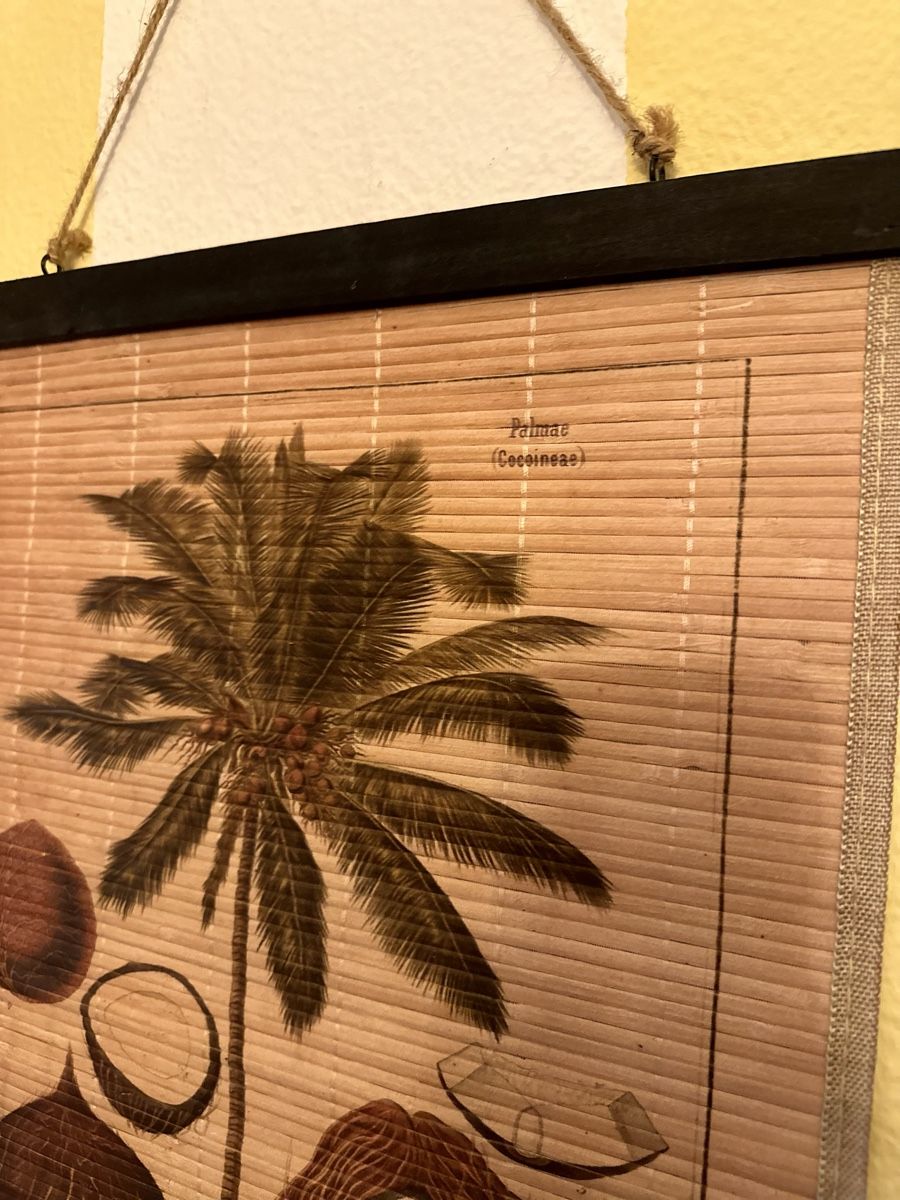 Poster & Bilder: Wandbild Naturmaterial Nr 2 Coco – Neu (gemäss Beschreibung) aus Altdorf UR von StayClassy 1