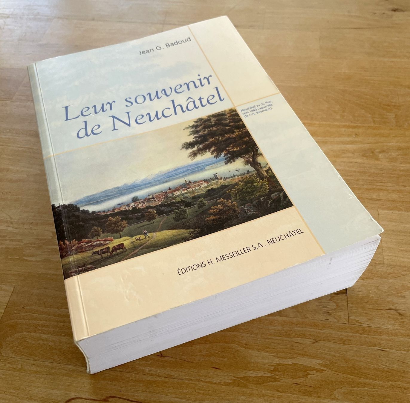 Libri: Leur souvenir de Neuchâtel – Usato da Savagnier venduto da Ne2065