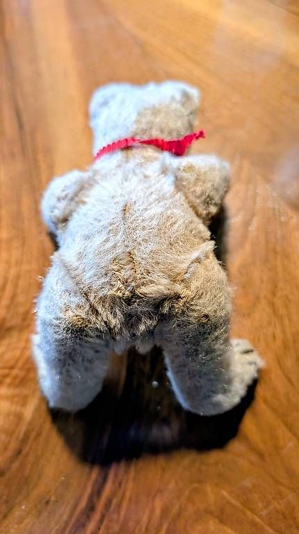 Giocattoli: Alter Teddy – Usato da Subingen venduto da Rusti79 2