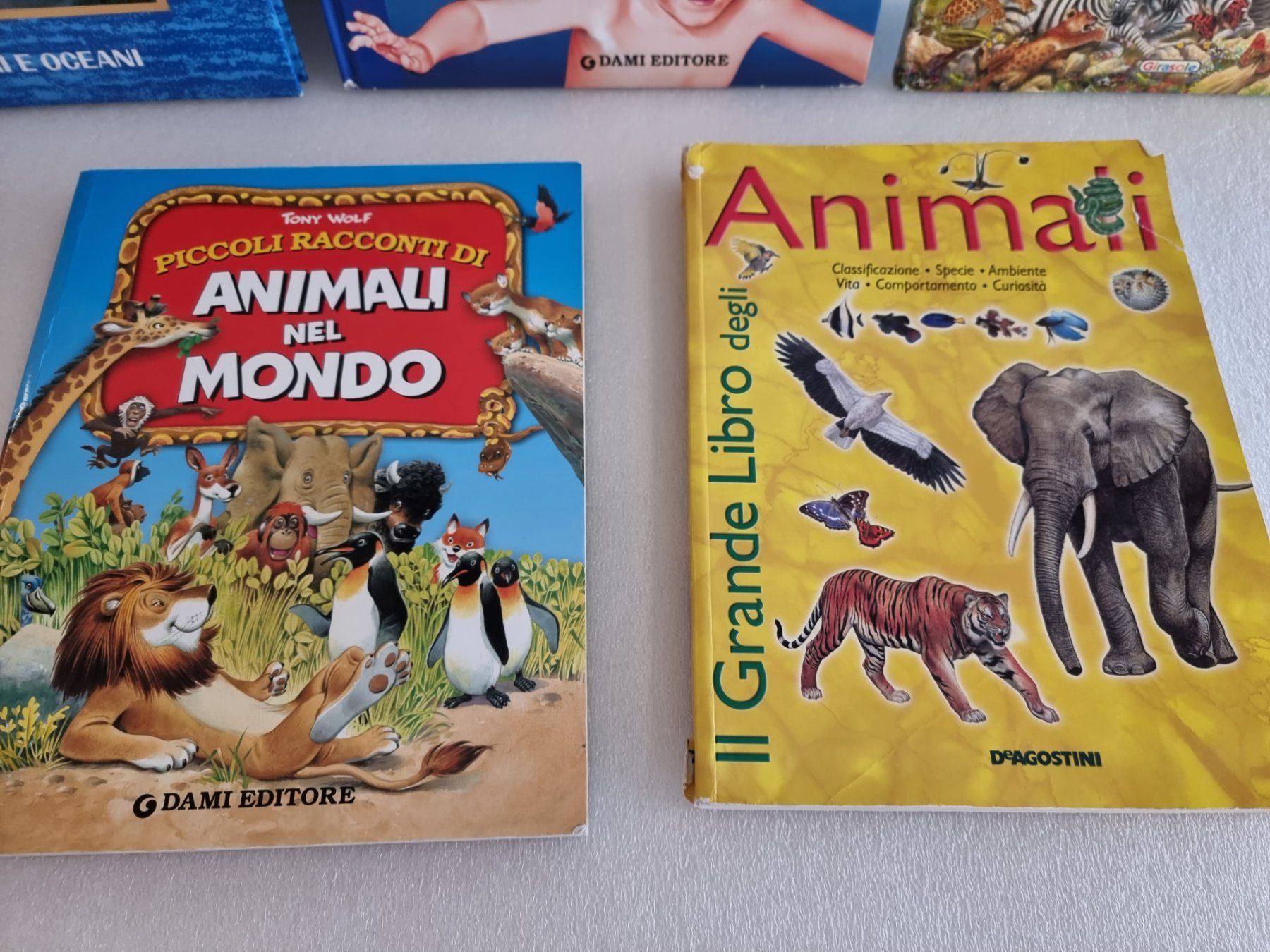 Libri: 5 libri degli animali – Usato da Hinwil venduto da Fransim 3