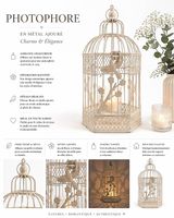 Photophore cage décorative blanche  esprit romantique