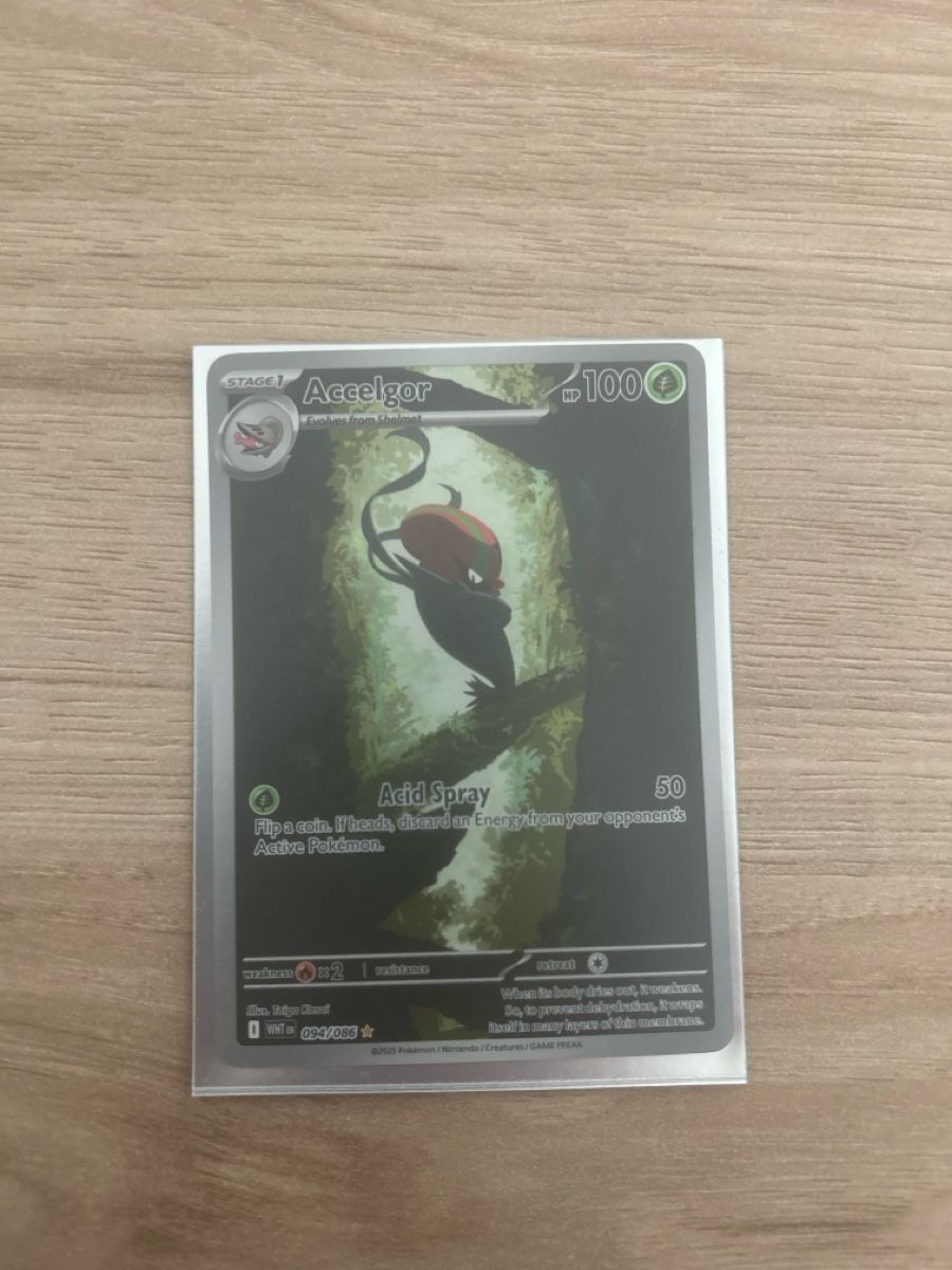 Pokémon Carte collezionabili: Accelgor 094/086 – Nuovo (secondo la descrizione) da Wetzikon ZH venduto da Zehra_mne