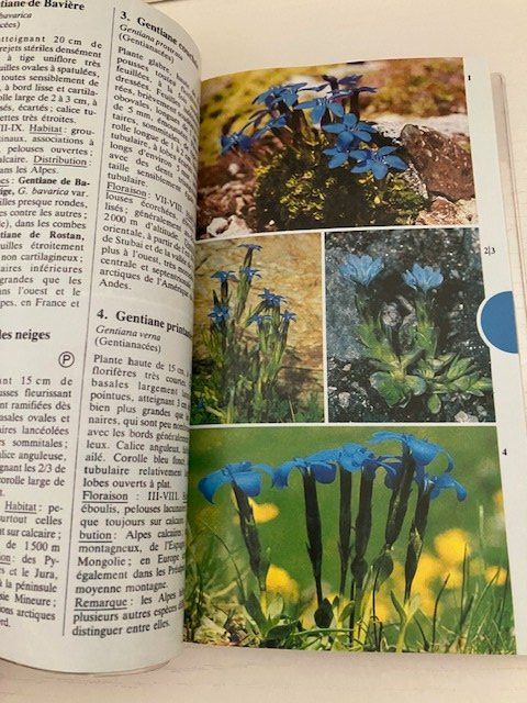 Libri: Guides de terrain "champignons " et "fleurs des montagnes" – Usato da Les Ponts-de-Martel venduto da Jolisa 2