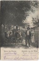 HEIMKEHR VON DER WIESE / OCHSEN BE/FR/VD 1907 Landwirtschaft